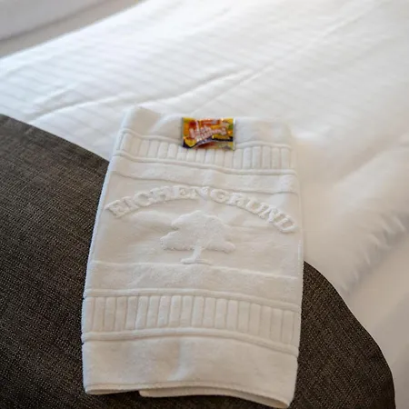 Hotel Eichengrund Cochstedt Hecklingen (Salzlandkreis)