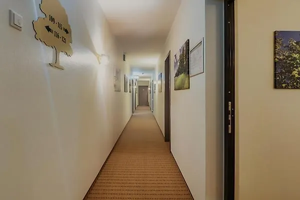 Eichengrund Cochstedt 4*